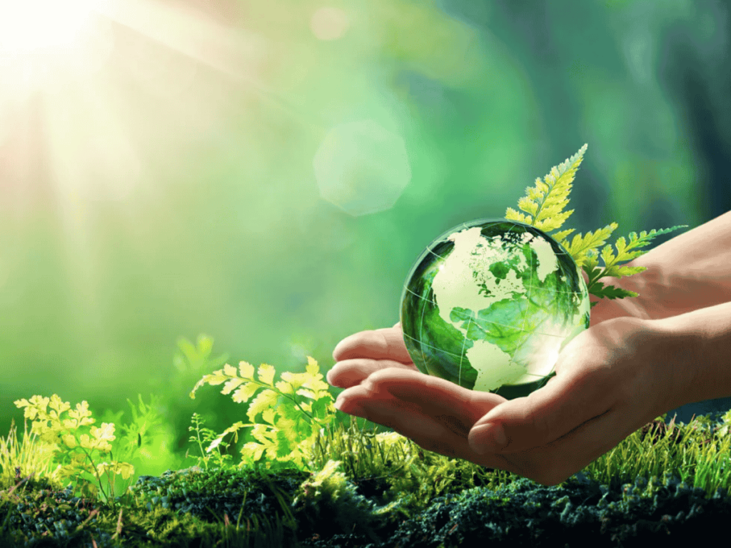 bending plywood for furniture