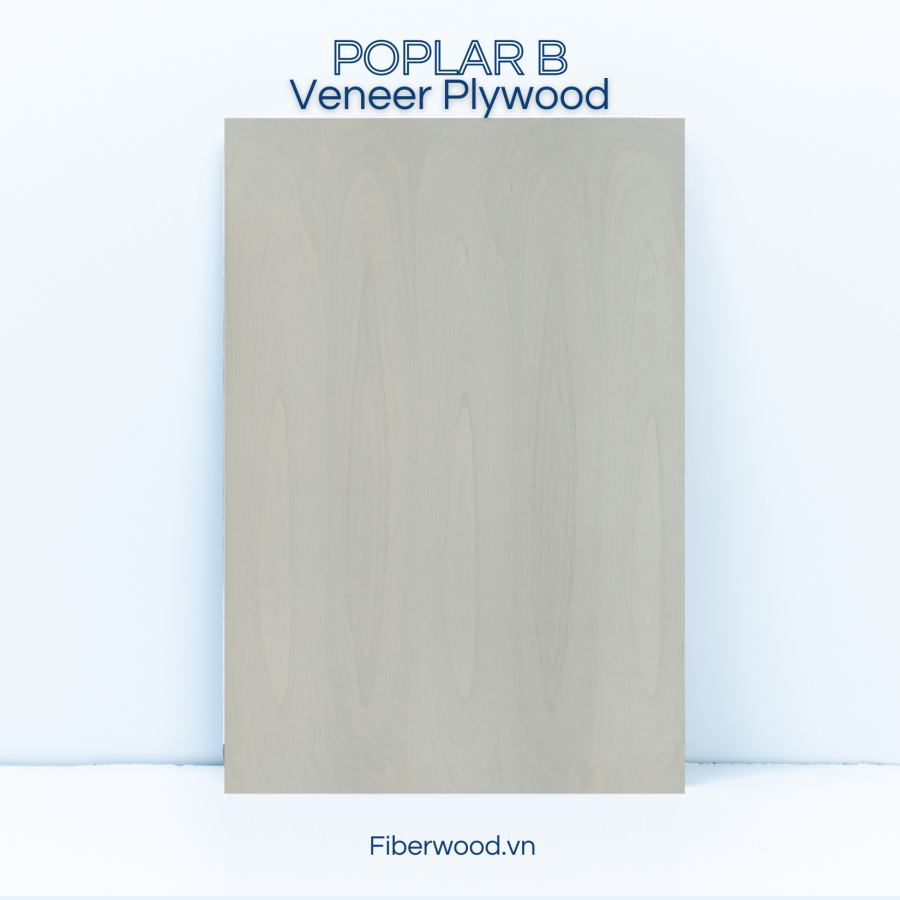 Plywood with natural Poplar AB Veneer – 18mm